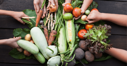 Imagen importancia de la nutrición